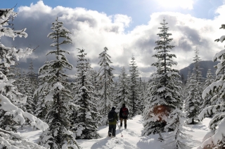 Photo of hikers in backcountry snow