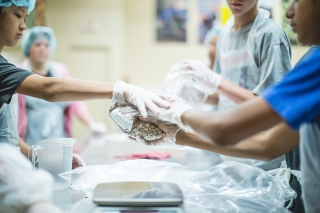 Photo of workers weighing beans