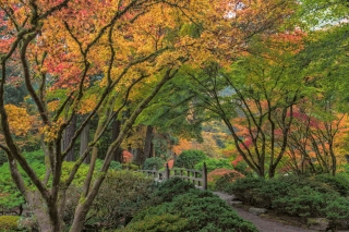 Photo of Portland Japanese Garden in the fall