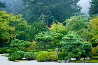 Photo of the greenery of Portland Japanese Garden