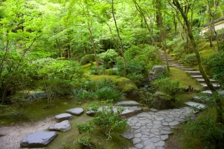 Portland Japanese Garden pavement steps