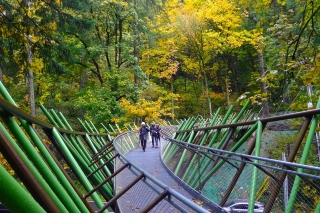 Photo of Ed Carpenter bridge