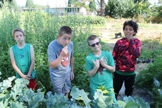 Photo of Serendipity Center garden