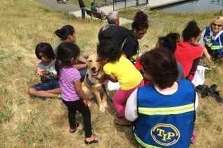 Photo of a support dog with kids