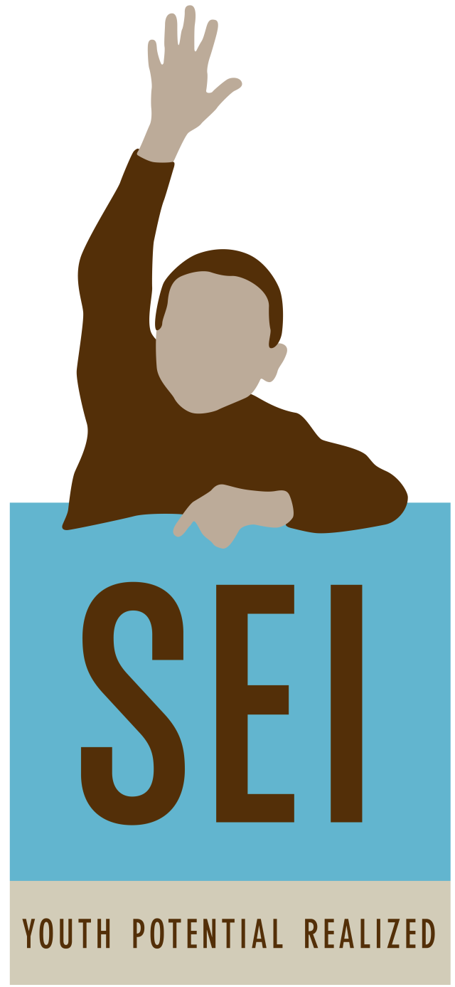 SEI Youth Potential Realized