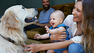 Thumbnail photo of a family with a baby playing with their dog